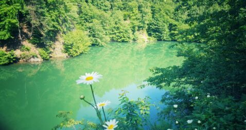 Yogatherapie zur Integration - Wesentlich