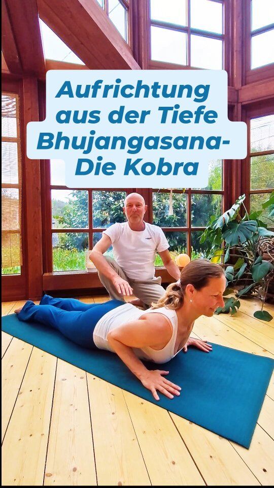 Bhujangasana – die Kobra: Aufrichtung aus der Tiefe
Bhujangasana ist weit mehr als eine Rückbeuge.
Sie symbolisiert die Kraft der Transformation – wie eine Schlange, die sich häutet und neu ausrichtet, lernen auch wir, uns aus der Enge aufzurichten, das Herz zu öffnen und aus der Tiefe Kraft zu schöpfen.

Anatomisch richtig ausgeführt, stärkt die Kobra nicht nur den Rücken, sondern wirkt auch regulierend auf unser Nervensystem. Der Brustkorb weitet sich, der Atem fließt freier, das Herz bekommt Raum.
Wir zeigen Dir in diesem Video, wie Du Bhujangasana auf gesunde Weise üben kannst – ohne Stauchung im unteren Rücken, sondern mit Länge, Leichtigkeit und Verbindung zur Körpermitte.

✨ Die Wirkung zeigt sich nicht nur körperlich – die Kobra kann emotionale Enge lösen, neue Energie schenken und ein Gefühl von innerer Würde und Präsenz stärken.

In unserer Ayur Yogatherapie Ausbildung lernst Du, wie Du Asanas wie diese funktionell-anatomisch, therapeutisch und individuell anleiten kannst.
Und in unserem Yoga ab 45 Kurs üben wir gemeinsam achtsam, aufgerichtet und mit Feingefühl – angepasst an den Körper, wie er heute ist.

➡️ Erfahre mehr unter: ayur-yogatherapie.de
💛 Wie wirkt Bhujangasana auf Deinen emotionalen Zustand und Deinen Körper? Praktizierst Du sie gerne? 
👉 Teile gern Deine Erfahrung oder Deine Lieblingsrückbeuge mit uns in den Kommentaren!

#yogatherapieausbildung #ayuryogatherapie #yogatherapie #therapeutischesyoga
#yogainspiration #yogaüber45 #achtsamkeit #yogamitwirkung #funktionelleanatomie
#spiraldynamik #körperliebe #heilsamebewegung #bewusstbewegen #verkörperung
#yogaundgesundheit #yogalehrerausbildung #achtsamleben #alignement 
#yogapsychologie #yogaundheilung #ruhefinden #körperweisheit
#bhujangasana #embodimentpractice #rückengesundheit
