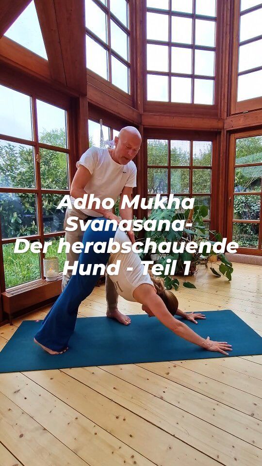 Machst Du den herabschauenden Hund wirklich rückenfreundlich?

Adho Mukha Svanasana – der Herabschauende Hund – ist eine der bekanntesten Asanas im Yoga. Der Name kommt aus dem Sanskrit:
•	Adho = nach unten
•	Mukha = Gesicht, Mund
•	Svana = Hund

Also wörtlich: „Hund mit dem Gesicht nach unten“.

Der herabschauende Hund ist eine dynamische und kraftvolle Rückenstreckung, die den ganzen Körper aktiviert und gleichzeitig dehnt. Wichtig ist, dass Du den Hund rückenfreundlich ausführst: Statt die Beine durchzustrecken, kippst Du das Becken bewusst nach vorn, um die natürliche Lordose im unteren Rücken zu bewahren. So schützt Du die Bandscheiben und vermeidest unnötigen Druck.
Dadurch entsteht Weite im Rücken – und der Hund wirkt, wie er wirken soll: wohltuend, stärkend, befreiend.

Wirkungen von Adho Mukho Svanasana
• dehnt & stärkt Rücken, Beine & Schultern
• öffnet Schulter- & Hüftgelenke
• aktiviert & harmonisiert den gesamten Körper
• beruhigt den Geist
• stärkt Fokus & Selbstvertrauen
• bringt Dich in Deine Mitte
• aktiviert Deine Lebensenergie

Der herabschauende Hund ist eine perfekte Mischung aus Anspannung & Entspannung, aus Kraft & Introspektion.

✨ Speichere Dir das Reel für Deine Praxis – und freu Dich auf Teil 2!

In der Ayur Yogatherapie Ausbildung lernst Du, wie Du Yoga gezielt und therapeutisch einsetzen kannst – individuell, anatomisch fundiert, energetisch 

Mehr Infos: @ayur.yogatherapie.de oder über den Link in der Bio.

#AyurYogatherapie #Yogatherapie #YogatherapieAusbildung #YogaWeiterbildung #YogaMitTiefe #YogaFürTherapeuten #YogaAnatomie #YogaUndHeilung #TherapeutischesYoga #YogaWirkung #YogaInDerTherapie #YogaWissen #YogalehrerCommunity #YogalehrerAusbildung #YogaDeutschland #Spiraldynamik #WesentlichSein #YogaAlignment #YogaAnatomie #FunktionellesYoga  #YogaFürDenRücken #YogaFürDieWirbelsäule #YogaBasics #YogaÜbung #AnatomieImYoga #Rückenfreundlich #AdhoMukhaSvanasana