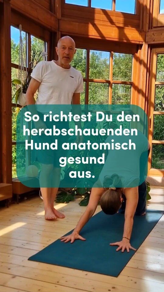 Wie geht es Deinen Schultern im herabschauenden Hund?
In diesem Video schauen wir uns die spiralige Verschraubung der Arme an. 

👉 Viele Menschen rotieren ihre Arme in dieser Asana nach innen oder ziehen die Schultern zu den Ohren – was auf Dauer zu Verspannungen, Enge im Schultergelenk bis zum Schulter-Impignement führen kann.

Was es braucht, ist eine bewusste Armverschraubung:

🔁 Der Oberarm rotiert leicht nach außen – die Schultern fließen vom Seratus aktiviert- in die Weite. Die Innenhände bleiben aktiv geerdet.
So entsteht Stabilität aus der Tiefe heraus – verbunden mit Weite und Leichtigkeit im Schultergürtel.

✨ Wenn Ausrichtung nicht starr, sondern lebendig gedacht wird, entfaltet sich die eigentliche Kraft von Adho Mukha Svanasana:
Eine Haltung, die zentriert, stärkt, befreit – und dir neue Perspektiven ermöglicht. 

💬 Spürst Du einen Unterschied, wenn Du so praktizierst? Teile gerne Deine Erfahrungen in den Kommentaren!

🎓 In der Ayur Yogatherapie Ausbildung lernst Du, wie Du diese Prinzipien therapeutisch und individuell anwendest – anatomisch fundiert, energetisch wirksam, berührend in der Tiefe.
Mehr Infos: @ayur-yogatherapie.de oder über den Link in der Bio.

#AyurYogatherapie #YogatherapieAusbildung #Yogatherapie #YogaMitTiefe #YogaAlignment #YogaAnatomie #Spiraldynamik #FunktionellesYoga #TherapeutischesYoga #YogaFürSchultern #AdhoMukhaSvanasana #YogaBasics #YogaWeiterbildung #YogalehrerCommunity #YogaDeutschland #YogaUndHeilung #YogaMitVerstand #Yogapraxis #Yogawissen #AusrichtungImYoga #YogaFürTrainer #YogaFürTherapeuten